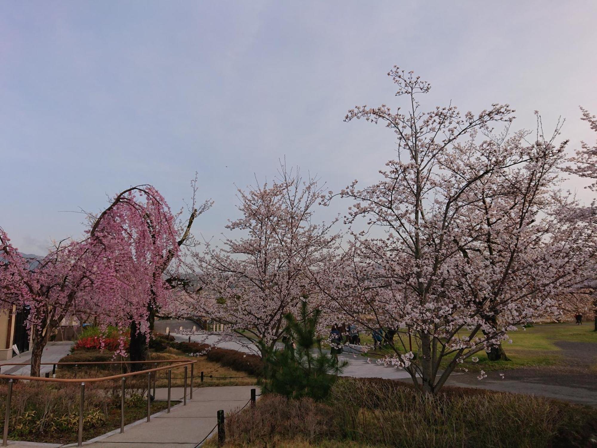 Hotel Arashiyama Kyoto Exterior photo