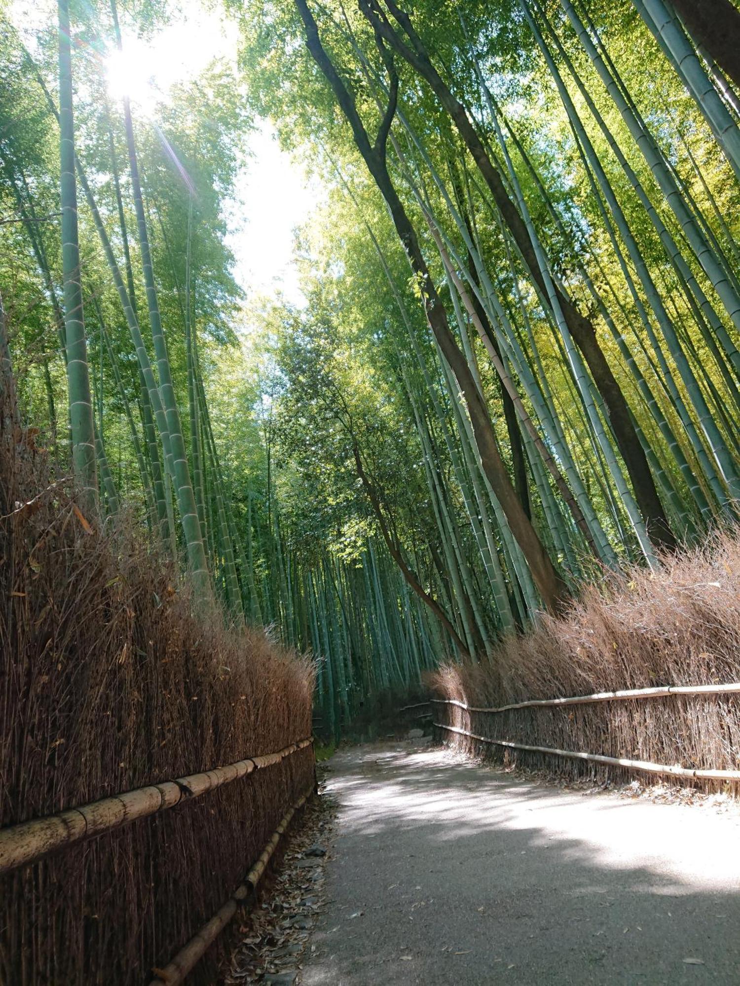 Hotel Arashiyama Kyoto Exterior photo